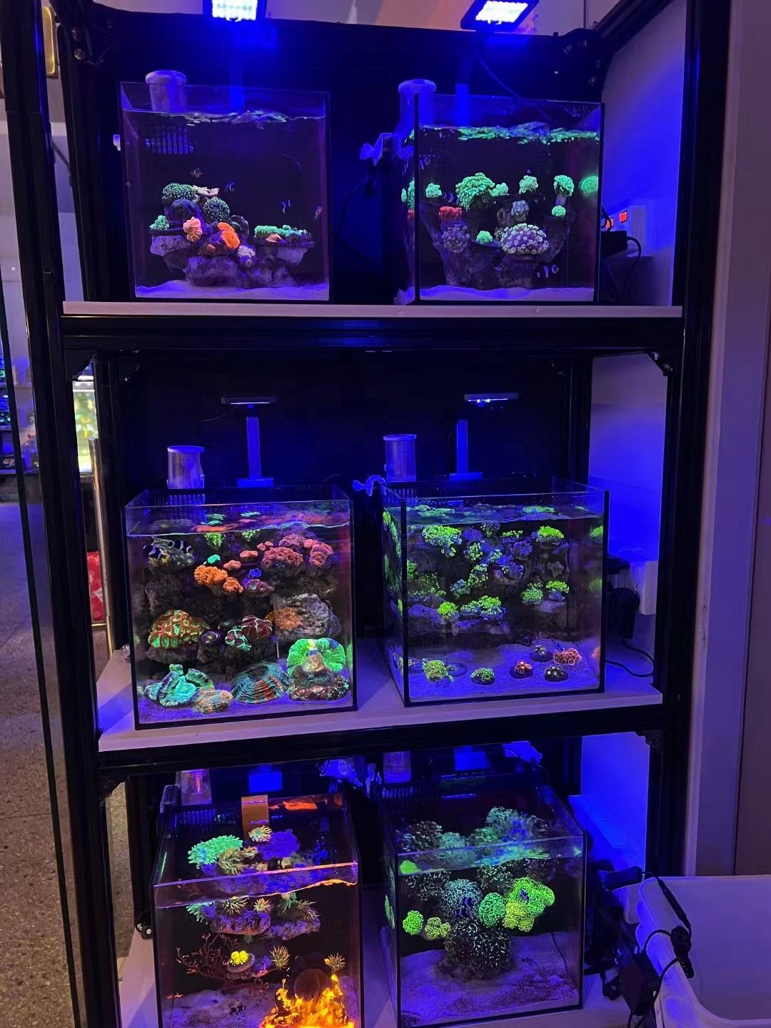 02 big promotion A.S. Hot selling Customized Sizes Desktop Aquarium Fish Tank Nano Reef Tank Sets ultra clear glass
