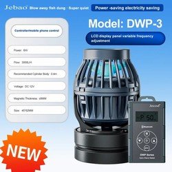 DWP-3