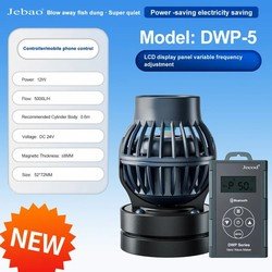 DWP-5