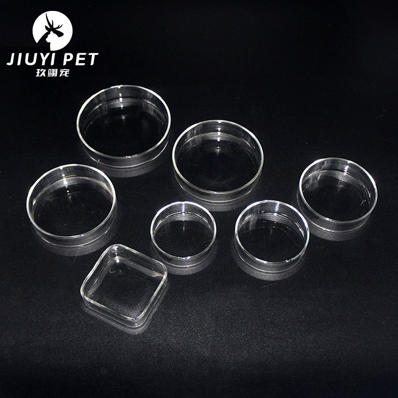 Wholesale high quality aquarium accessories Clear glass shrimp aquarium glass horn feeding tube with glass plate
