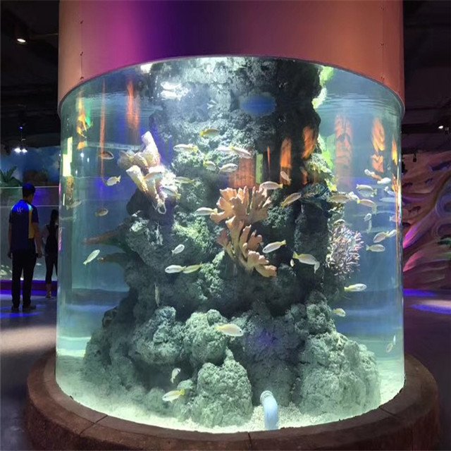 SD Luxury Modern Design Large Acrylic Aquarium Acrylic Fish Tank Aquarium