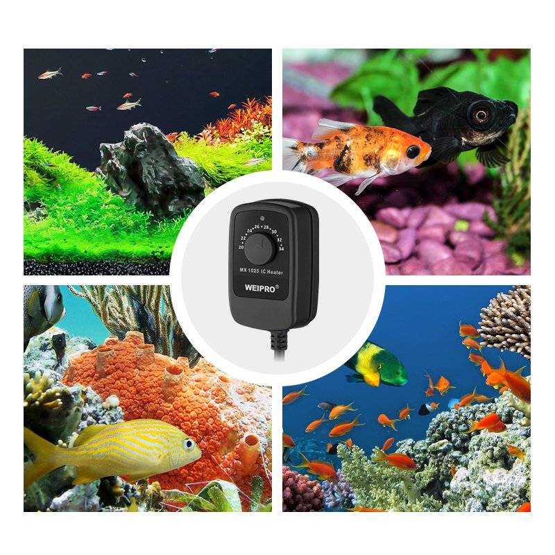 Factory Price Metal/Stainless Steel Aquarium Heater 100W Power Fish Tank Freshwater Marine Seawater Thermostat Accessory