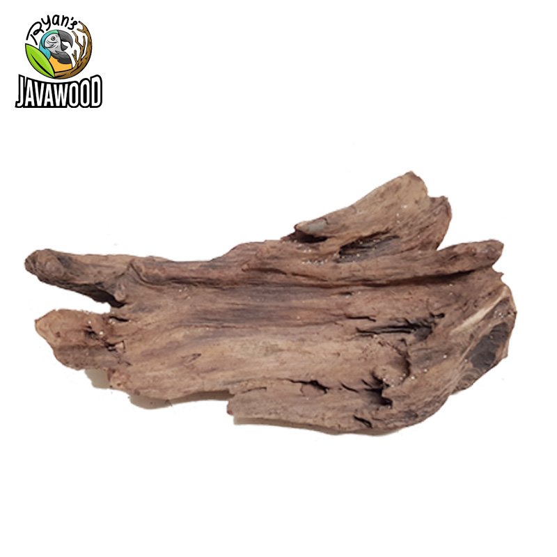 Factory Best Selling Natural Woods Aquarium Decorative Driftwood Fish Tank Home Decoration from Central Java Indonesia