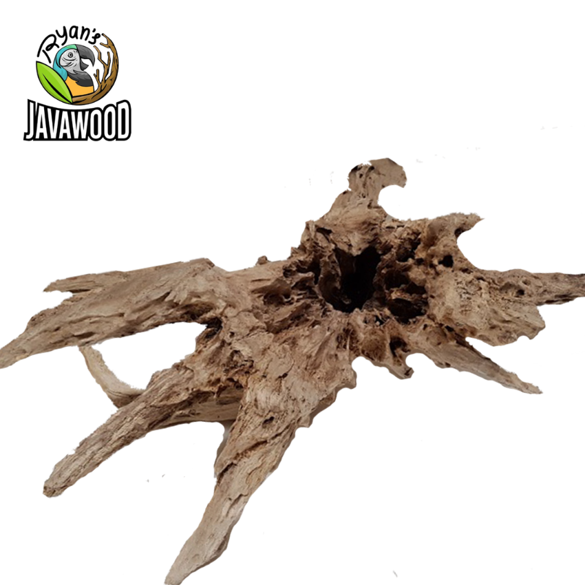 Factory Best Selling Natural Woods Aquarium Decorative Driftwood Fish Tank Home Decoration from Central Java Indonesia