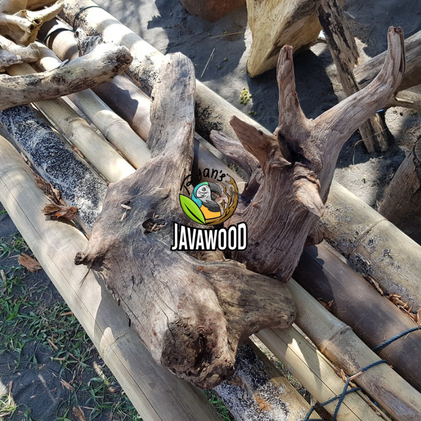 Factory Best Selling Natural Woods Aquarium Decorative Driftwood Fish Tank Home Decoration from Central Java Indonesia