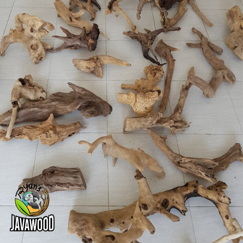 Factory Best Selling Natural Woods Aquarium Decorative Driftwood Fish Tank Home Decoration from Central Java Indonesia