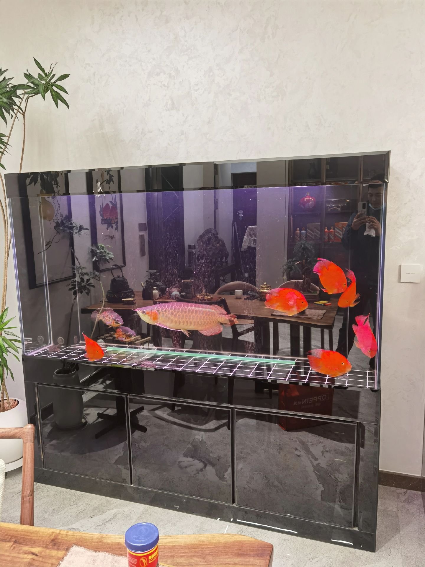 Glass Fish Tank Aquarium Acrylic Tank Customizable High Crystal Plastic Tank for Sale Aquariums & Accessories 5l UV Protection