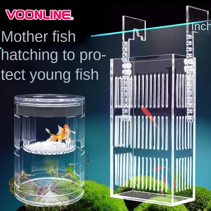 Aquascaping Water Plants Holder Plastic Aquarium Tank Wall Hanging Vase with Fish Species for Indoor and Outdoor Use