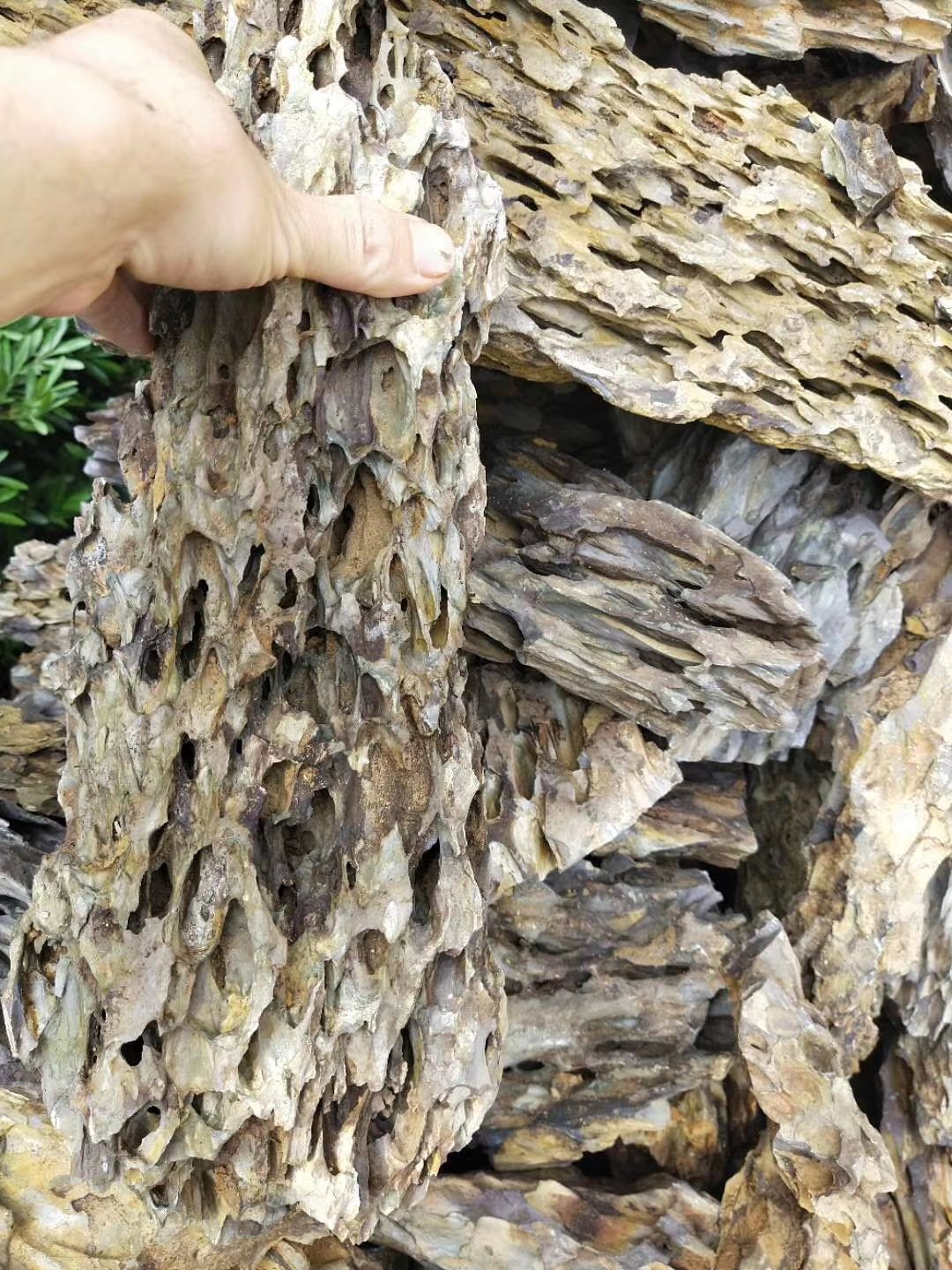 20-60cm Ohko Aquascaping Natural dragon stone aquarium fish tank landscape stone