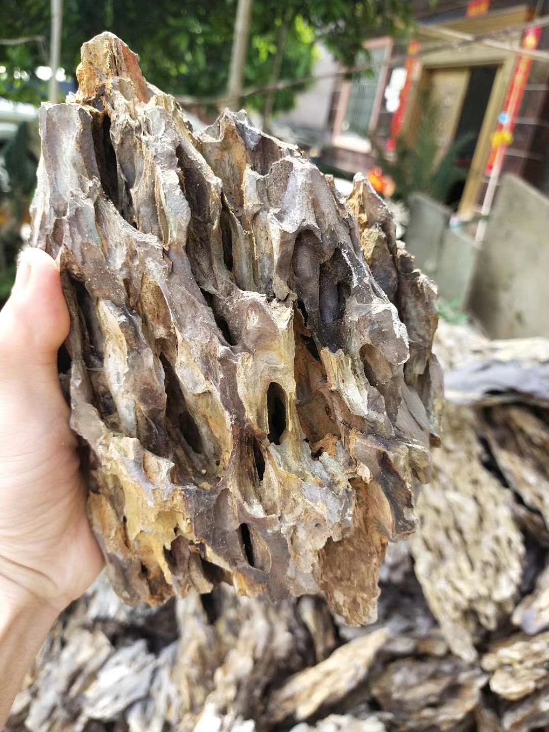 20-60cm Ohko Aquascaping Natural dragon stone aquarium fish tank landscape stone