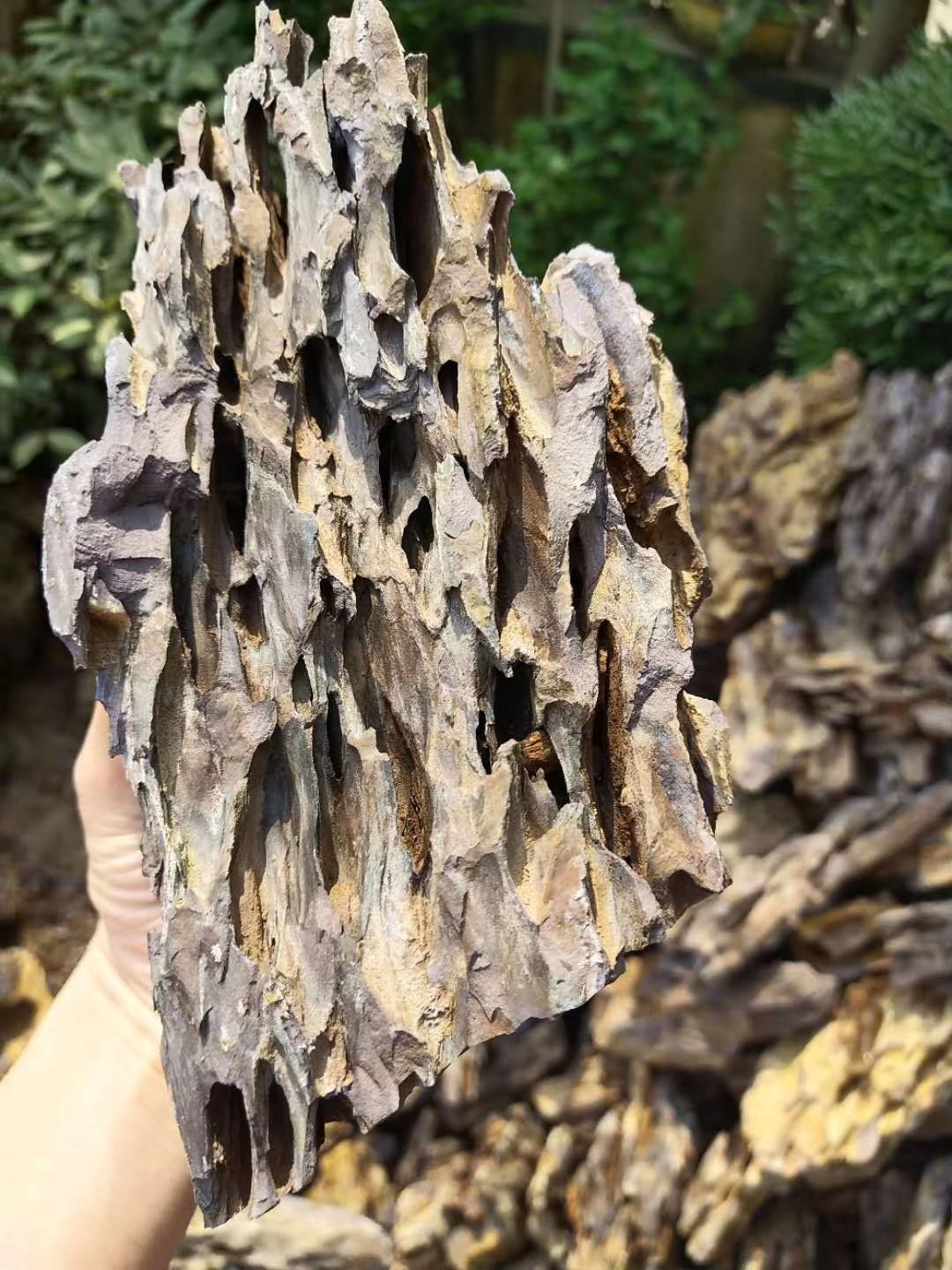 20-60cm Ohko Aquascaping Natural dragon stone aquarium fish tank landscape stone