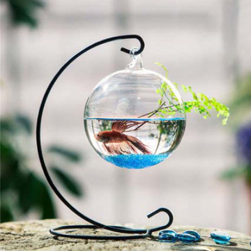 Aquarium Fish Bowl Hanging Glass Goldfish Tank Glass Hanging Fish Bowl Creative Flower Bottle Fish Tank Decoration Aquarium