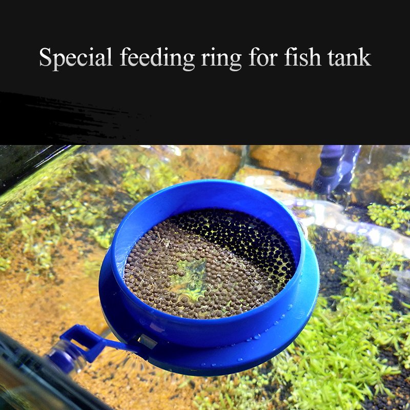 Yee fish tank feeder small floating fish food feeder aquarium suspended feeding circle goldfish feeding circle Wholesale