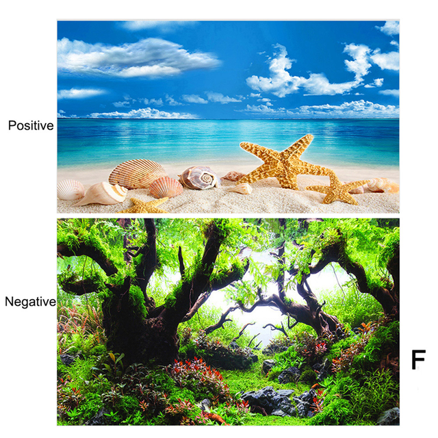 PVC Adhesive Undersea Backdrop Aquarium Corals Photography Background Fish Tank Poster