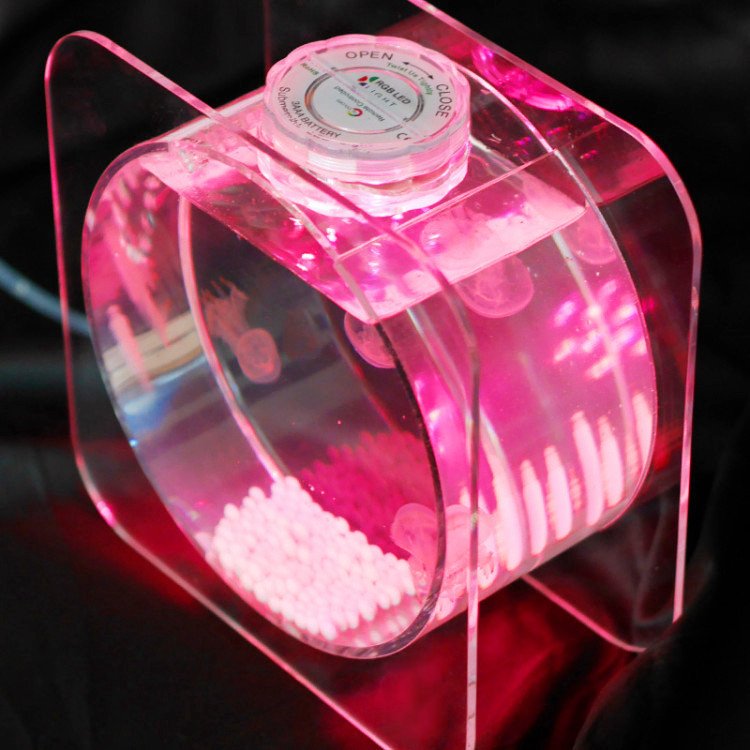 Modern Style Decorative Acrylic Jellyfish Aquarium For Restaurant And Hotel