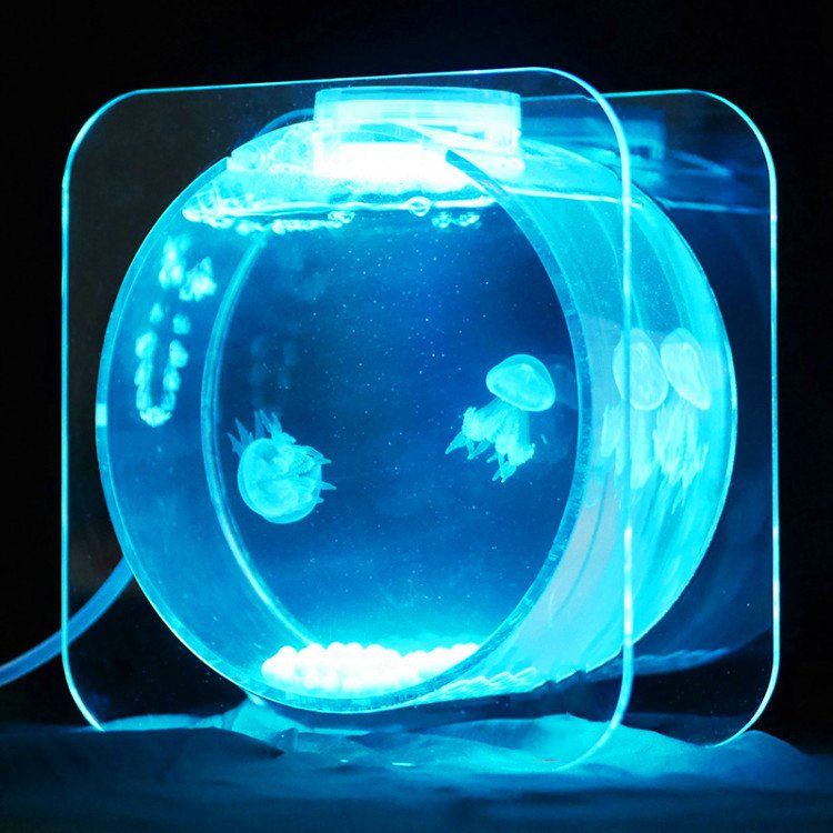 Modern Style Decorative Acrylic Jellyfish Aquarium For Restaurant And Hotel