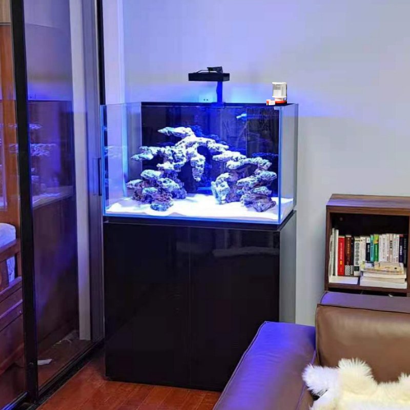 Glass fish tank aquarium back filters with skimmer and LED marine tank table top saltwater aquarium fish tank