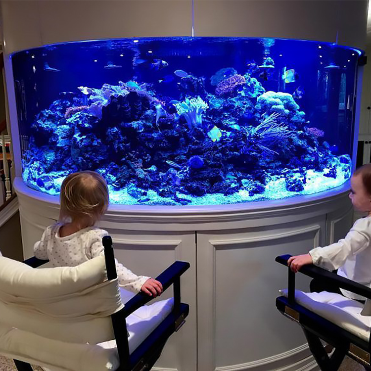 Custom Tropical Acrylic Aquarium New Type Aquarium Acrylic Fish Tank For Sale