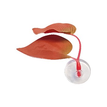 Air Pump For Aquarium Equipment