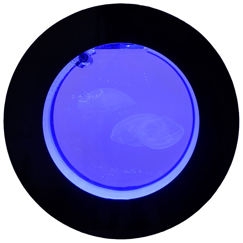 Desktop Acrylic Jellyfish Tank Small Aquarium Household Gift Round Aquarium Creative Fish Tank Aquariums