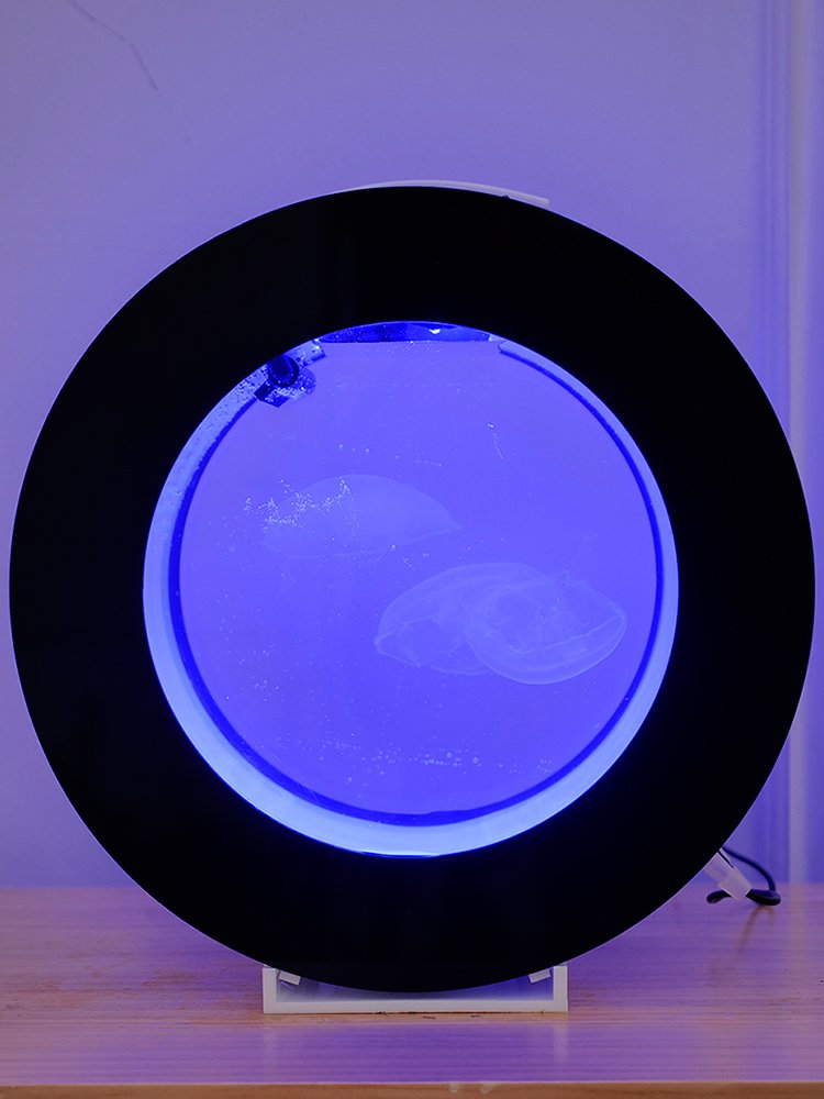 Desktop Acrylic Jellyfish Tank Small Aquarium Household Gift Round Aquarium Creative Fish Tank Aquariums