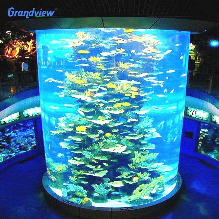 Acrylic Aquarium Fish Tank Acrylic Sheet Aquarium Elegant Large Acrylic Aquarium