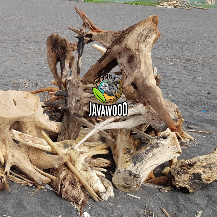 Indonesian Factory Tropical Accessory Bonsai Driftwood Aquarium Fish Tank Decoration from Central Java Indonesia