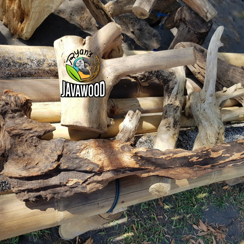 Indonesian Factory Tropical Accessory Bonsai Driftwood Aquarium Fish Tank Decoration from Central Java Indonesia