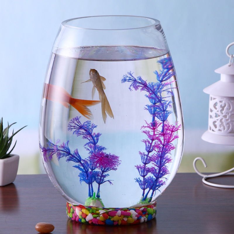 Tank Aquarium Large Turtbowlar Mini Small Landscape Hydroponic Vase Aquarium Round Glass Creative Carton Box Big Fish Bowl Glass