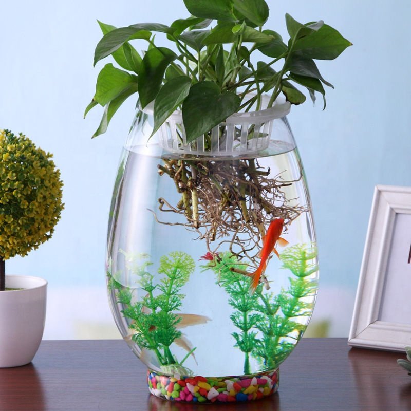 Tank Aquarium Large Turtbowlar Mini Small Landscape Hydroponic Vase Aquarium Round Glass Creative Carton Box Big Fish Bowl Glass