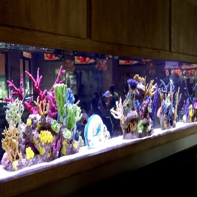 custom new imported display plexiglass sheet transparent rectangular table acrylic aquarium fish tank of wholesale to restaurant