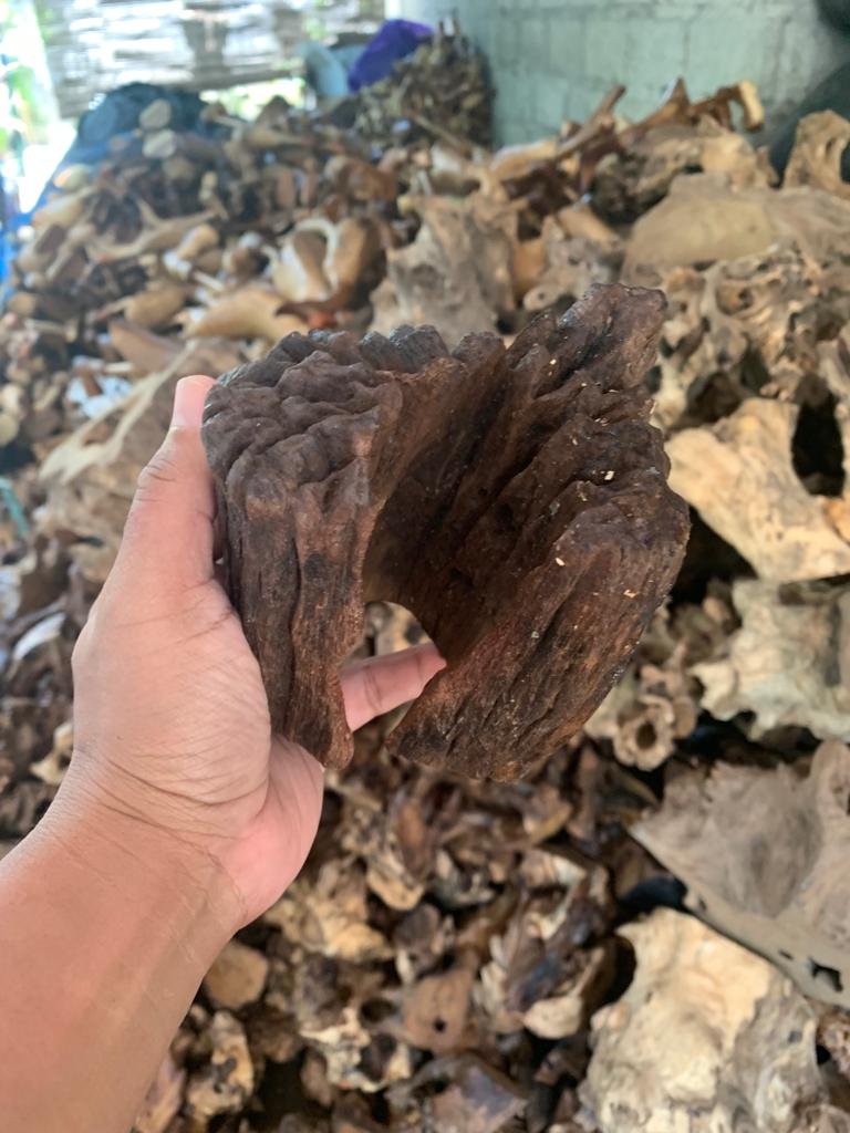 Wholesale Driftwood for Aquarium and Aquascape Decoration, Aquarium Wood Accessories for Fish Tank Landscaping