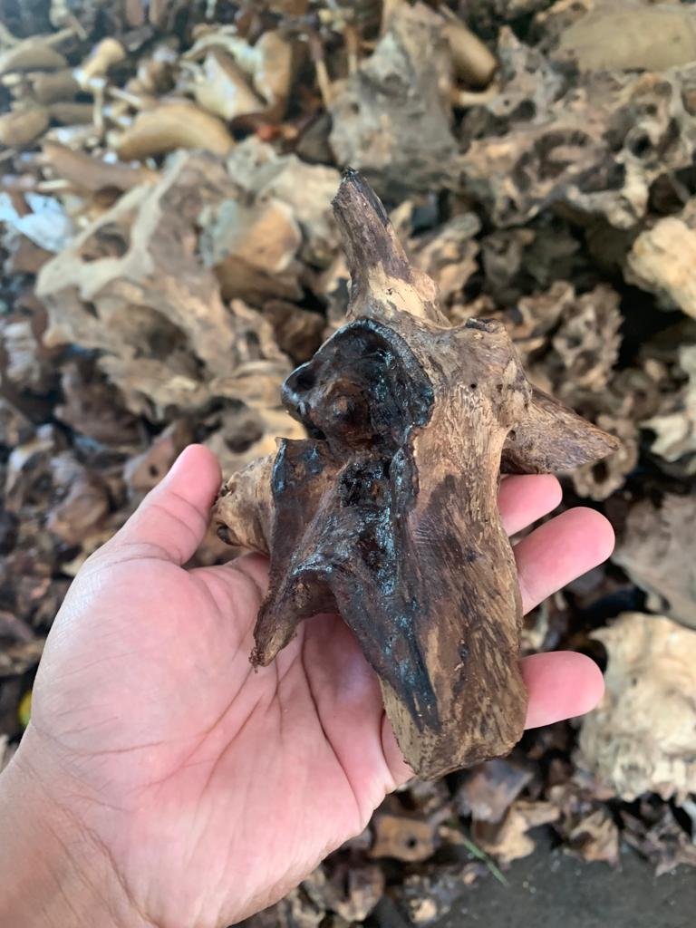 Wholesale Driftwood for Aquarium and Aquascape Decoration, Aquarium Wood Accessories for Fish Tank Landscaping
