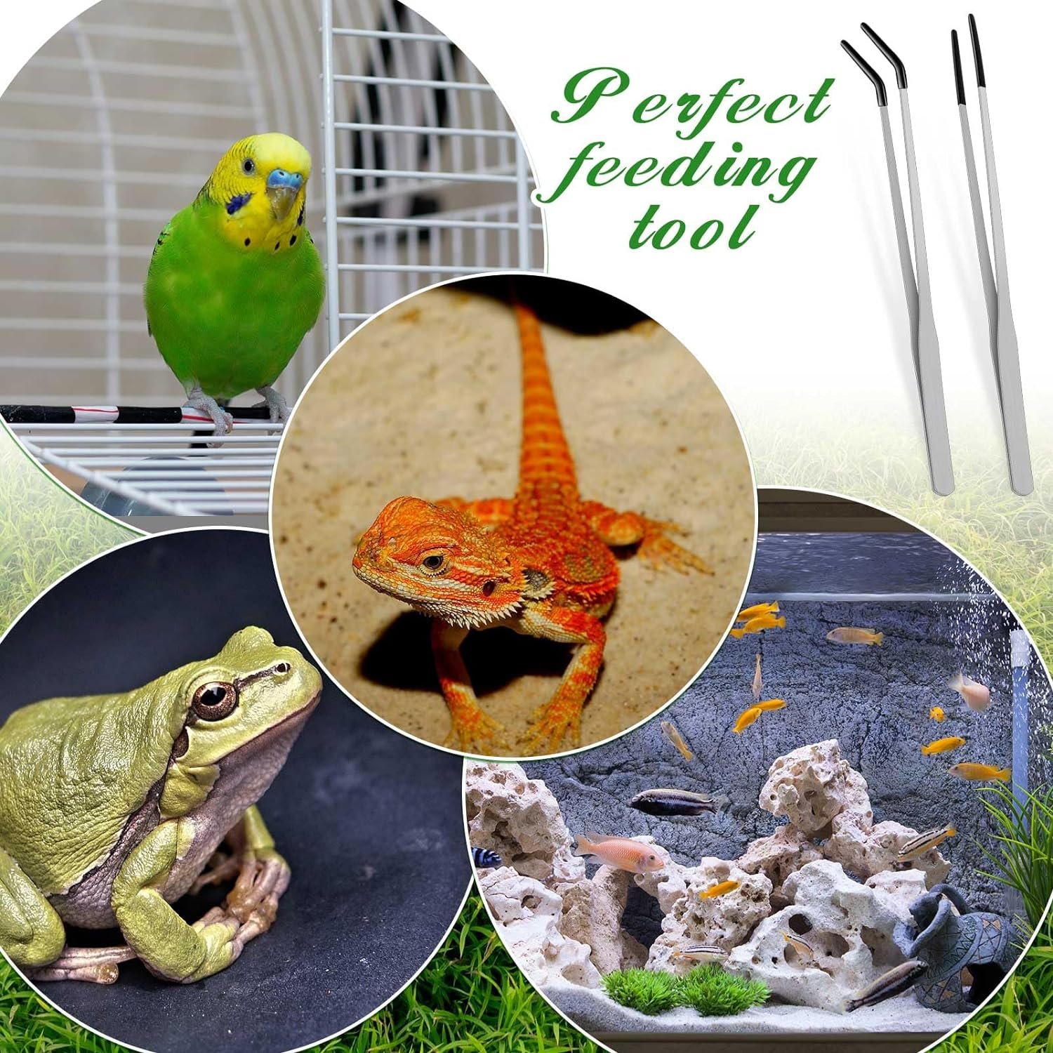 27CM/38CM Stainless Steel Straight and Curved Tweezers Aquarium Tweezers with Rubber Tips Long Handle Reptile Feeding Tongs