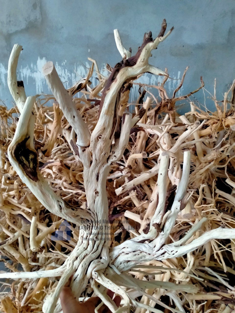 Natural Driftwood For aquarium accessories aquarium decoration WhatsApp +84 963 949 178