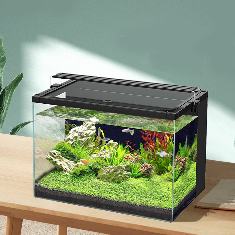 Yee Mini Back Filtration Fish Tank Ultra Clear Glass Landscape Black Aquarium Fish Tank with Led Lamp