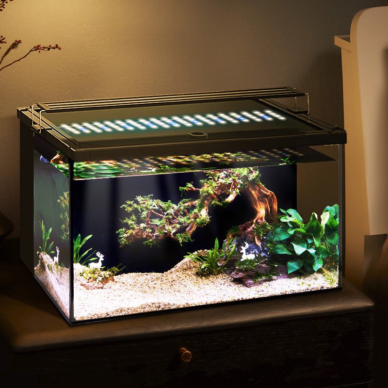 Yee Mini Back Filtration Fish Tank Ultra Clear Glass Landscape Black Aquarium Fish Tank with Led Lamp