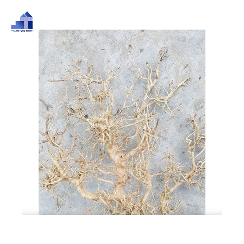 Wholesale Natural Driftwood collected from Vietnam Natural Forests WhatsApp +84 963 949 178