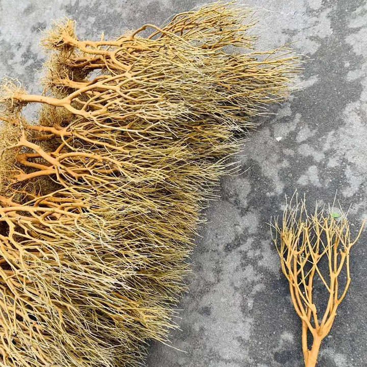 Aquarium landscaping decorative driftwood has boiled Moss tree landscaping wood fish tank Moss tree roots sunken wood aquarium