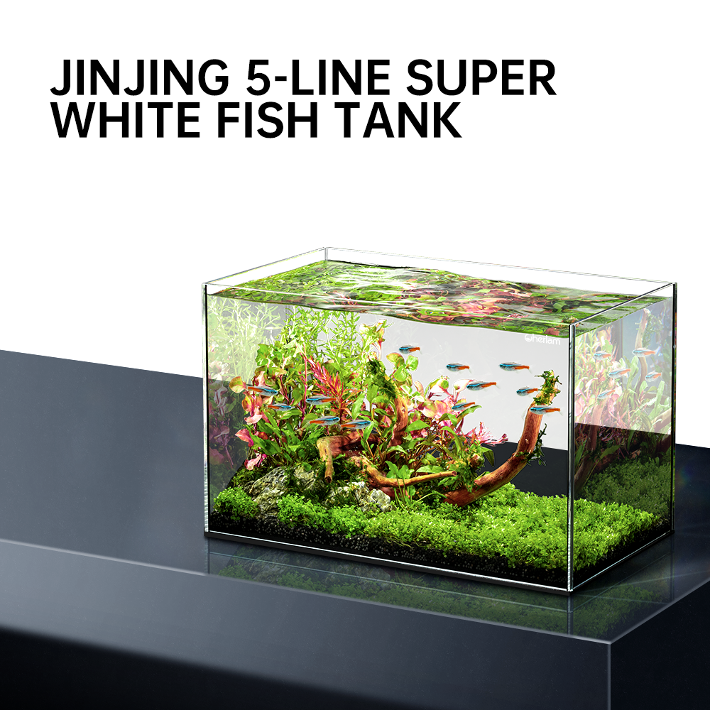 Yee Customized Ultra White Clear Glass Fish Tanks Home Decoration Desktop Black Glue Reef Aquarium