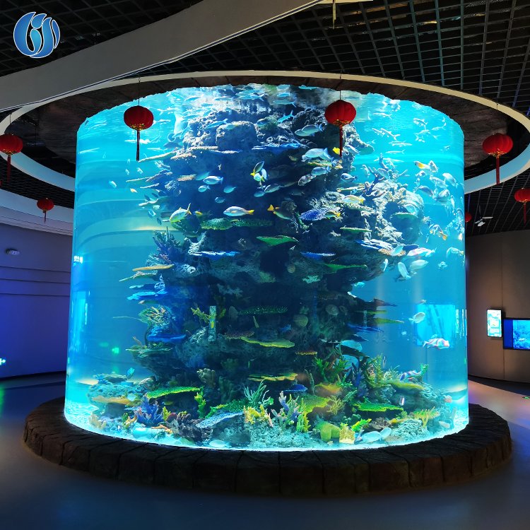 Lesheng New Products Outdoor Large Acrylic Fish Tank, Super Professional Marine Acrylic Fish Tank Aquarium