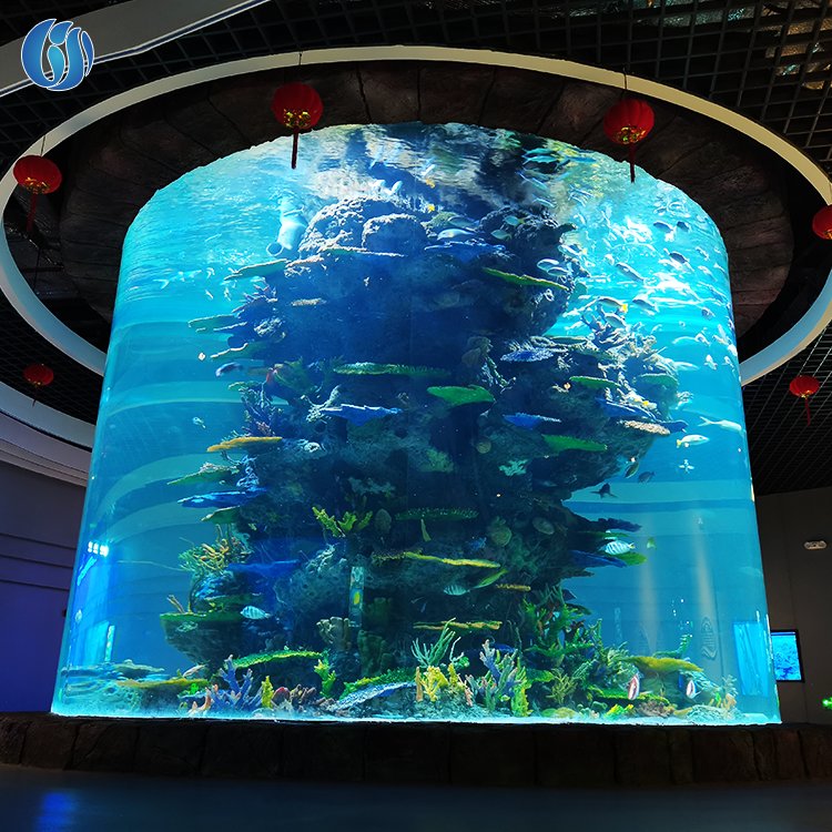 Lesheng New Products Outdoor Large Acrylic Fish Tank, Super Professional Marine Acrylic Fish Tank Aquarium