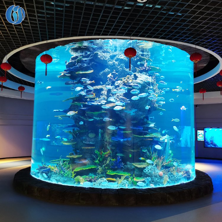 Lesheng New Products Outdoor Large Acrylic Fish Tank, Super Professional Marine Acrylic Fish Tank Aquarium
