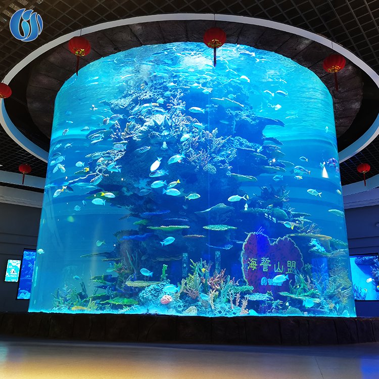 Lesheng New Products Outdoor Large Acrylic Fish Tank, Super Professional Marine Acrylic Fish Tank Aquarium