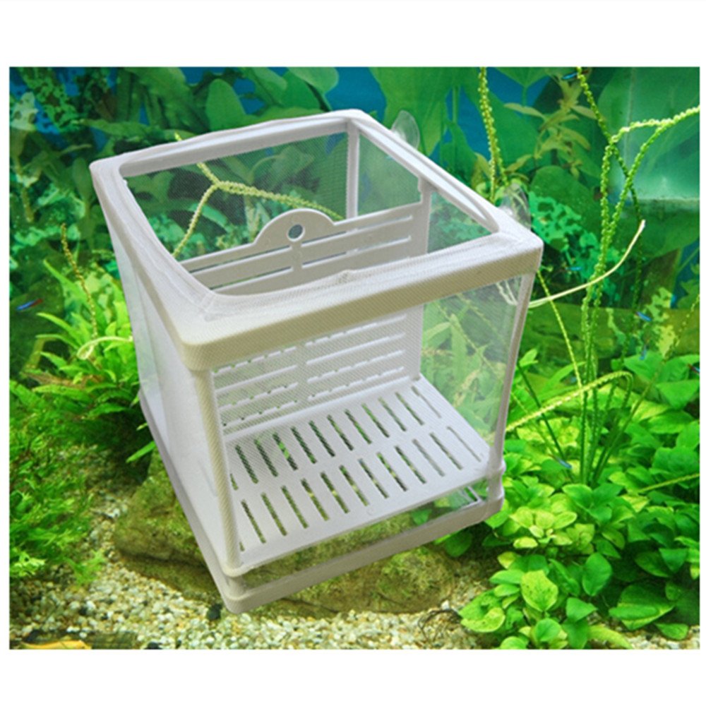 Aquarium fish breeding fry hatchery nursery box double deck separation net box free suckers