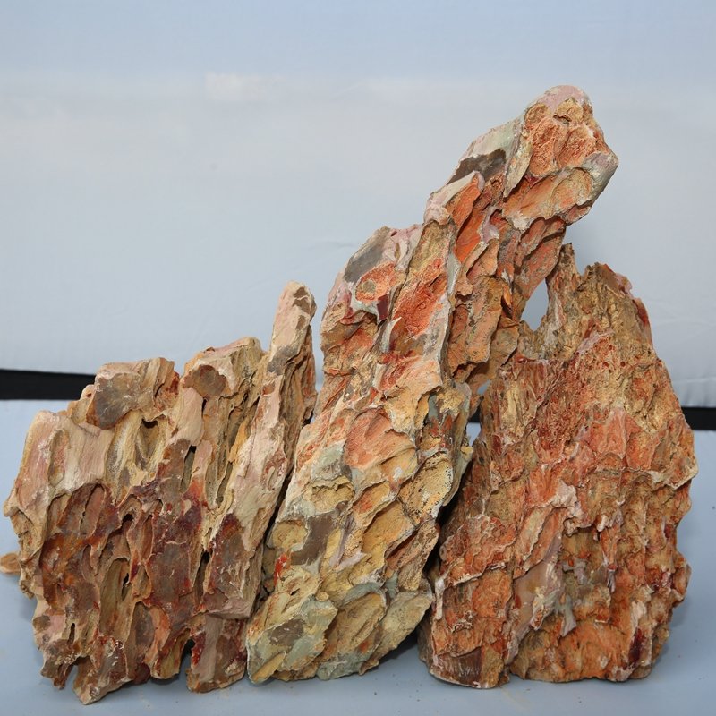aquarium stone dragon bone stone tiger skin stone