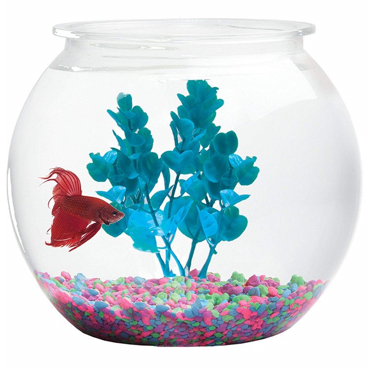 Plastic Ivy Bowls Mini Aquarium Fish Tank