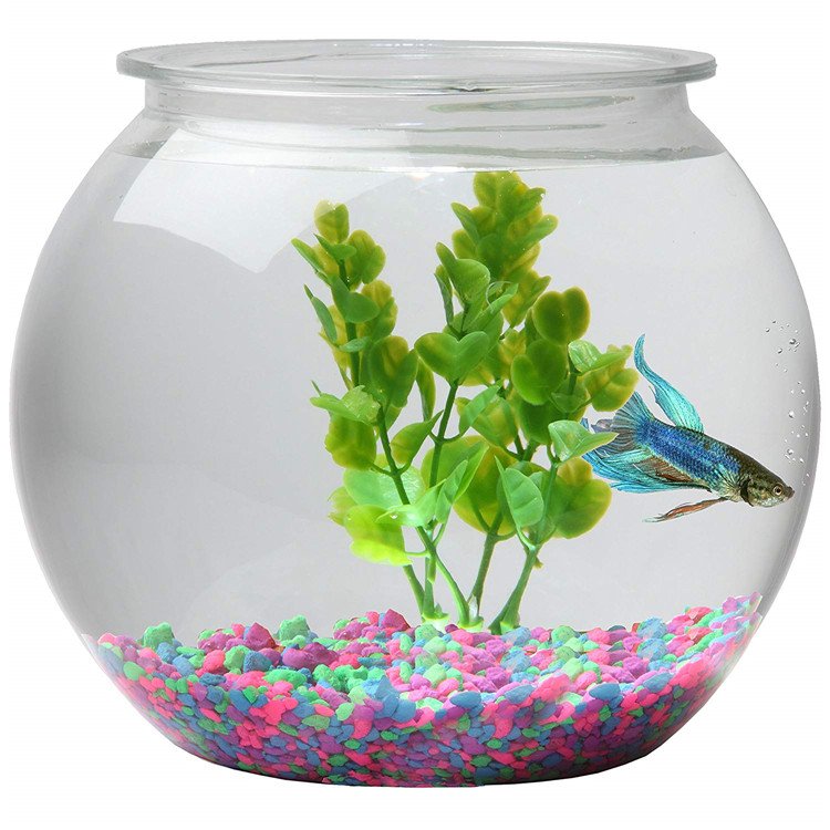 Plastic Ivy Bowls Mini Aquarium Fish Tank
