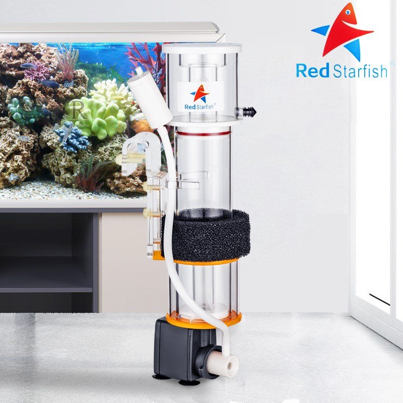 Red Starfish Hanging On Internal Needle Wheel Protein Skimmer for Saltwater Aquarium