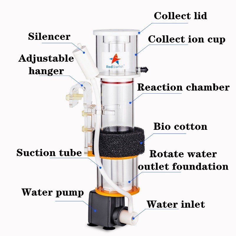 Red Starfish Hanging On Internal Needle Wheel Protein Skimmer for Saltwater Aquarium